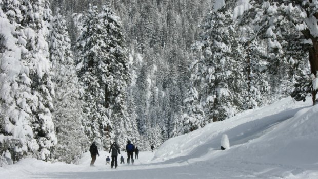 California Man Dies in Ski Accident at China Peak