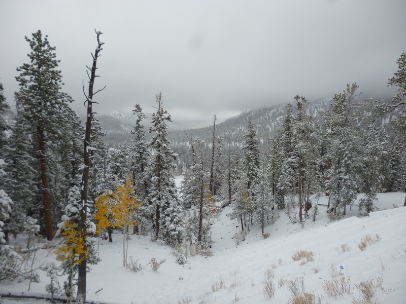 PHOTOS: Snow Falling Again in the West