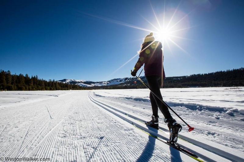 Лыжники остановились. Лыжник вдали. Лыжник обычный. Cross Country Skiing. Равновесие лыжника.