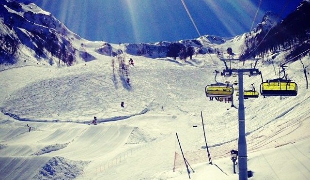 Deadly Avalanche Strikes Sochi Olympic Venue