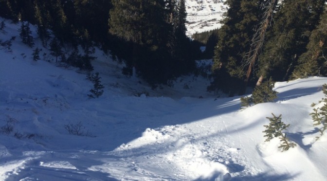 Skier Dies in Avalanche Near Silverton