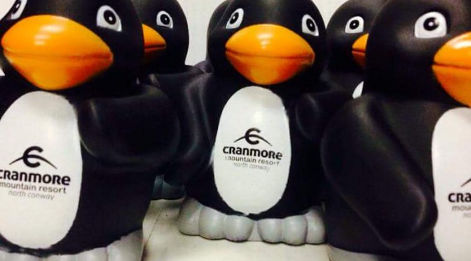 Cranmore to Host Annual Great Penguin Race to Combat Hunger