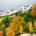 Alta, Utah was awash in color on Thursday - and it included white. (photo: Evan Thayer)