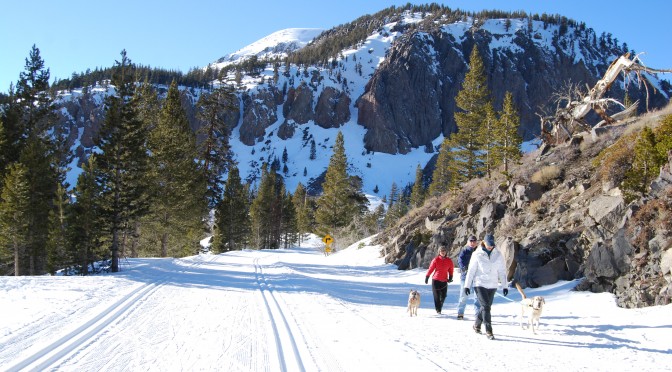 Adventure Dining on Skinny Skis