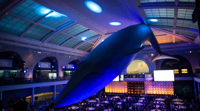 The scene for the 2014 New York Gold Medal Gala The Museum of Natural History, New York City (file photo: USSA)
