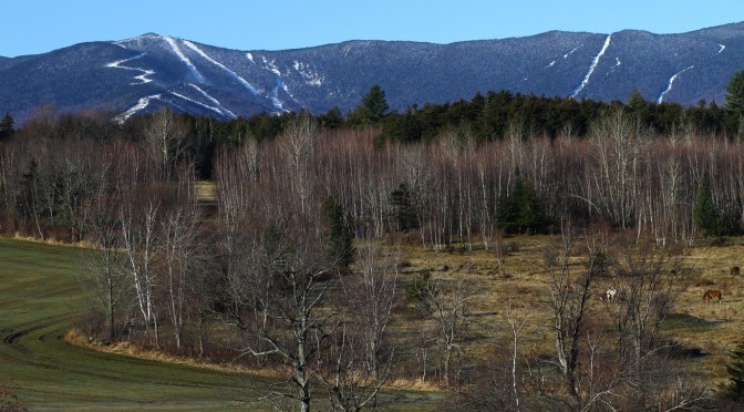 There was some white visible at Sugarbush yesterday, but not enough. (photo: Sugarbush Resort)