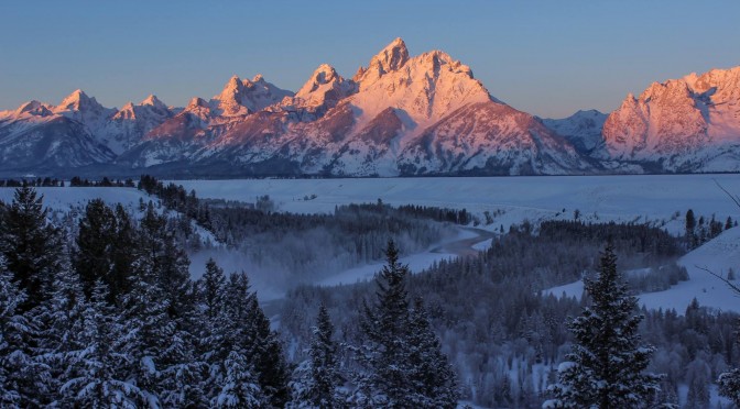 Jackson Hole WinterFest Mushes to a Start Jan. 29