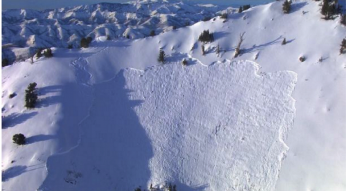 Doug Green's last line on Gobblers Knob. (photo: Utah Avalanche Center)