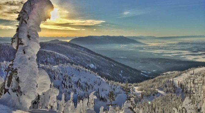 Lawsuit Settled Over Tree Well Death at Whitefish