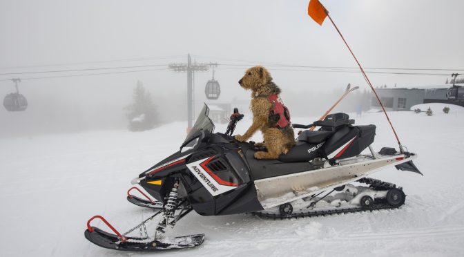 (location: Aspen Mountain, Colo.; photo: Scott Markewitz)