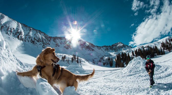 (photo: Arapahoe Basin)