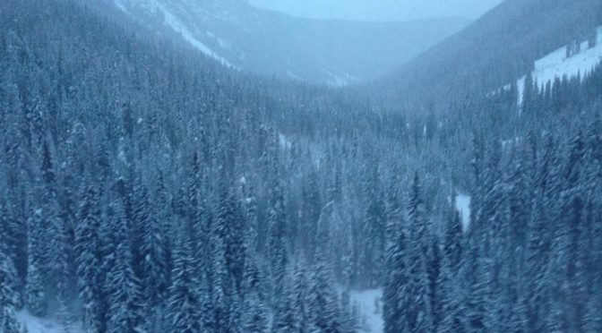 Canyon Creek, as seen from the helicopter during Saturday's search and rescue operation near Kicking Horse Mountain Resort in British Columbia. (photo: GADSAR)